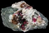 Roselite and Calcite Crystals on Dolomite - Morocco #74299-1